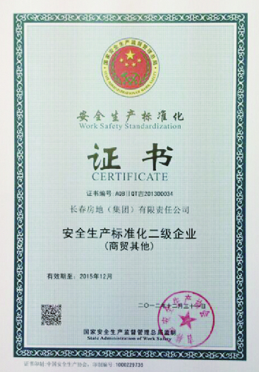 中国安全生产标准化二级企业
